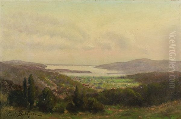 View Of Clear Lake Oil Painting by Carl Christian Dahlgren