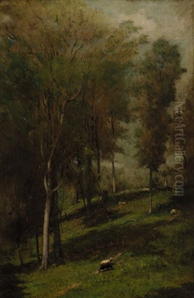 Sheep Grazing In Woodland Oil Painting by Elliot Daingerfield