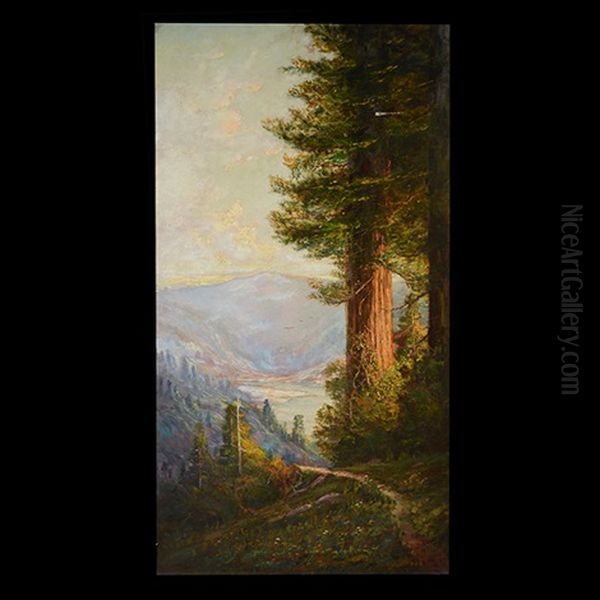 California Redwoods Oil Painting by Tilden Daken