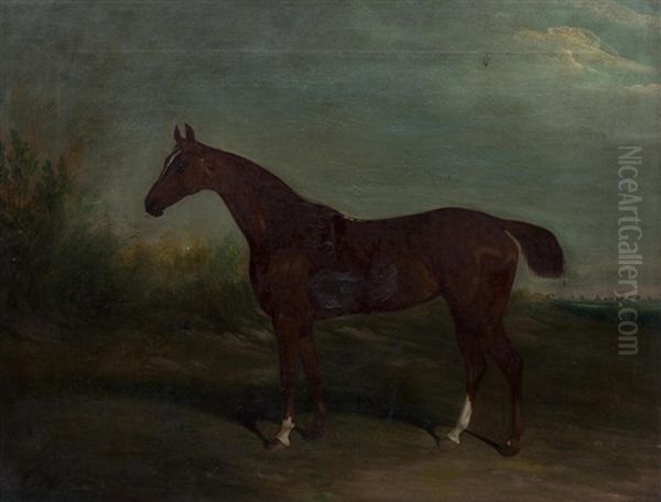 Portrait Of A Chesnut Horse With Docked Tail Oil Painting by David (of York) Dalby