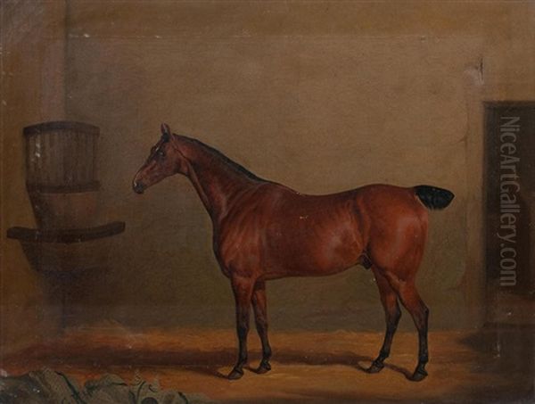 Portrait Of A Chestnut Horse In A Stable With An Initialled Horse Blanket G F H Oil Painting by David (of York) Dalby