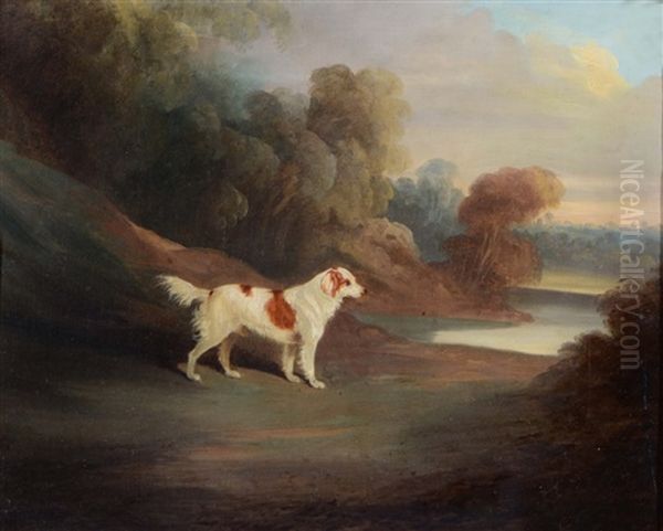 A Spaniel In A Landscape Oil Painting by David (of York) Dalby