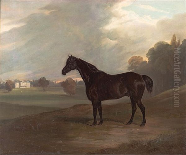 Black Stallion In Landscape, Elsenham Hall Oil Painting by David (of York) Dalby