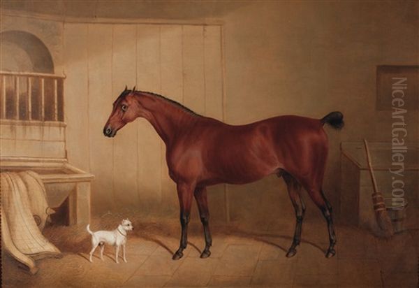 Stallinneres Mit Rennpferd Und Hund Oil Painting by David (of York) Dalby