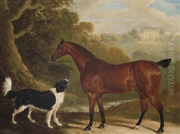 A Chestnut Hunter And Newfoundland Dog In An Extensive Landscape, A Country House Beyond Oil Painting by David (of York) Dalby