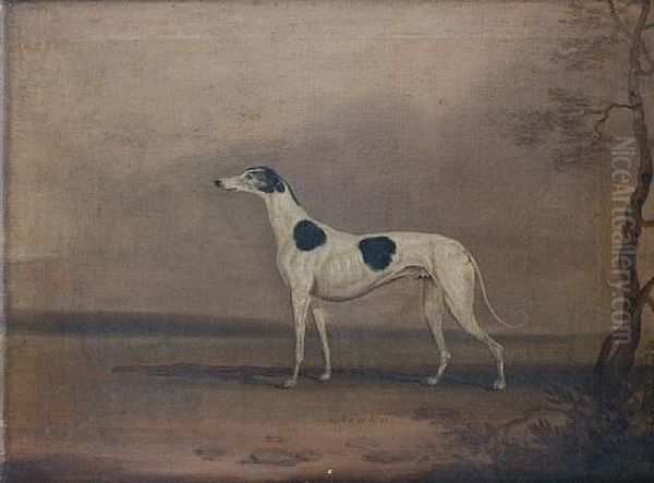 A Portrait Of The Greyhound Newton Oil Painting by David (of York) Dalby