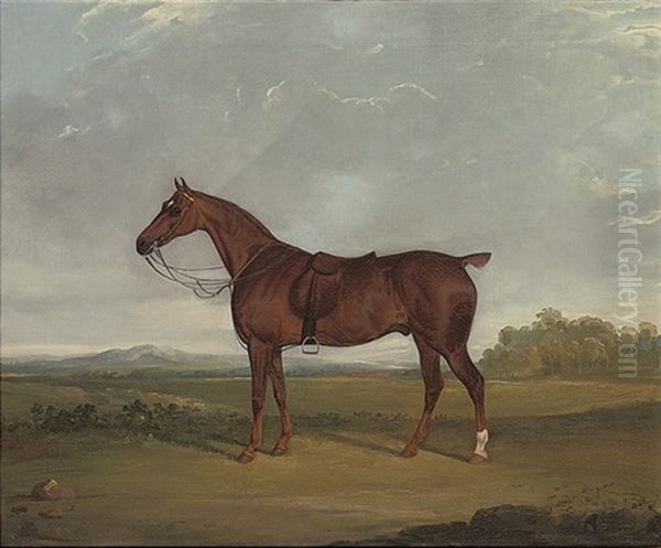 A Bay Hunter In A Landscape Oil Painting by David (of York) Dalby