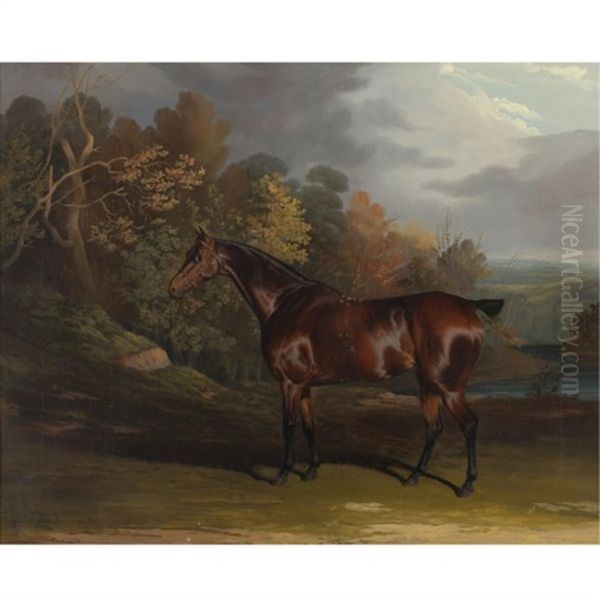 A Bay Hunter In A Sylvan Landscape Oil Painting by David (of York) Dalby