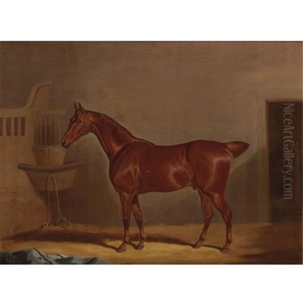 Chestnut Horse In A Loose Box Oil Painting by David (of York) Dalby