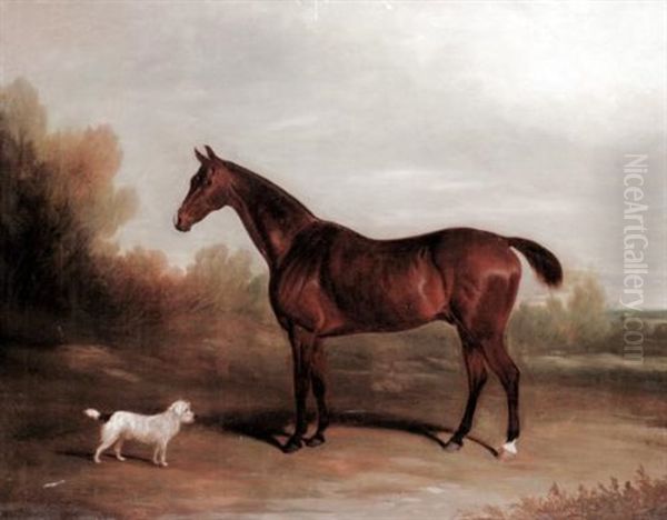 A Chestnut Hunter With A Terrier Oil Painting by David (of York) Dalby