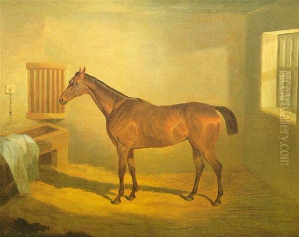 Caballo En El Establo Oil Painting by David (of York) Dalby