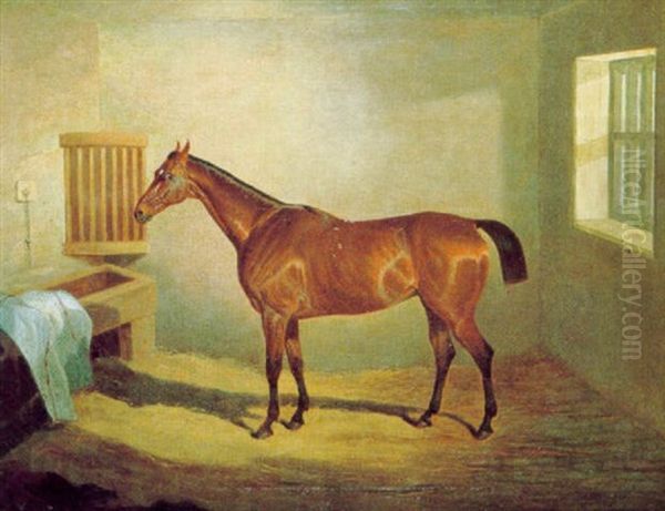 Caballo En El Establo Oil Painting by David (of York) Dalby