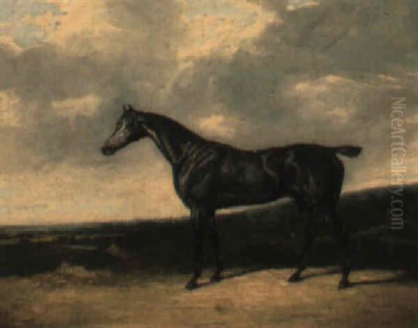 A Grey Racehorse In A Landscape Oil Painting by David (of York) Dalby