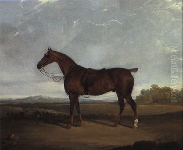 A Saddled Bay Hunter In A Landscape by David (of York) Dalby