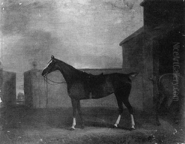 A Hunter In A Stable Yard Oil Painting by David (of York) Dalby