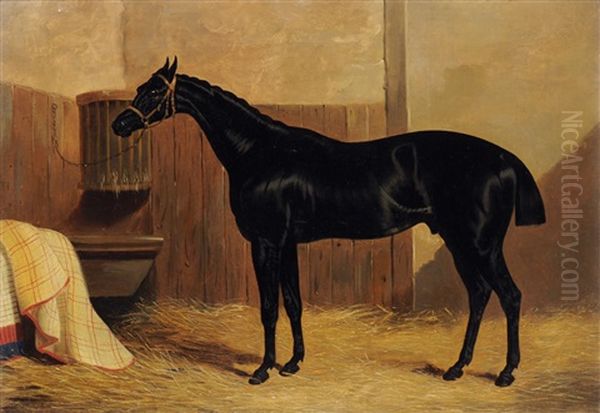 A Portrait Of The Horse 