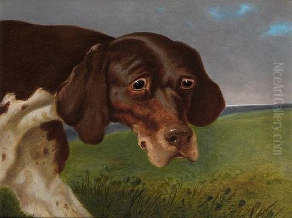 A Portrait Of A Brown And White Pointer (+ A Portrait Of A Black And White Pointer; Pair) Oil Painting by John Dalby