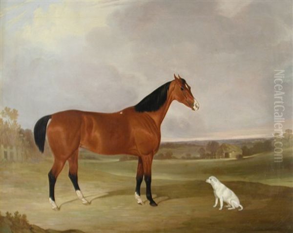 A Chestnut Hunter In An Extensive Landscape With A White Dog Oil Painting by John Dalby