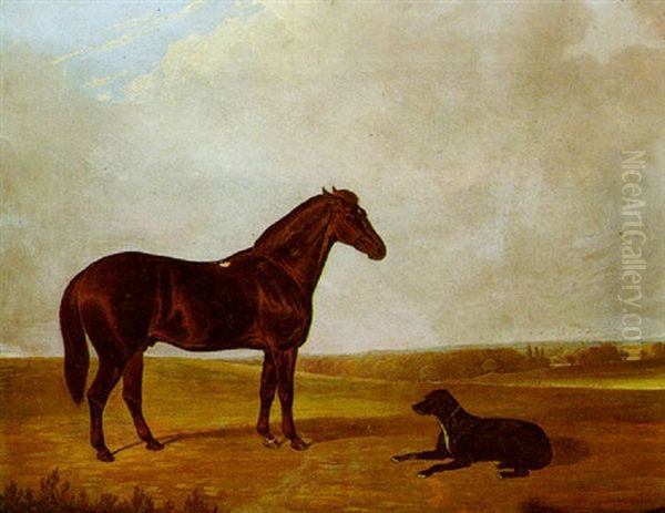 A Bay Hunter And A Black Labrador In A Landscape Oil Painting by John Dalby