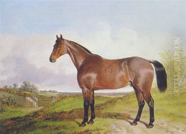 A Chestnut Horse In A Landscsape Oil Painting by John Dalby