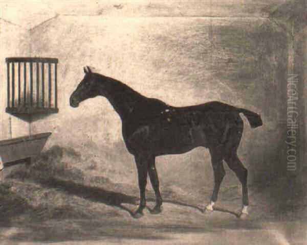 A Bay Hunter In A Stable Oil Painting by John Dalby