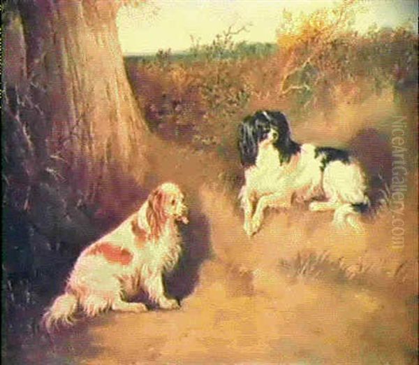 Two Spaniels Beside A Tree Trunk Oil Painting by John Dalby