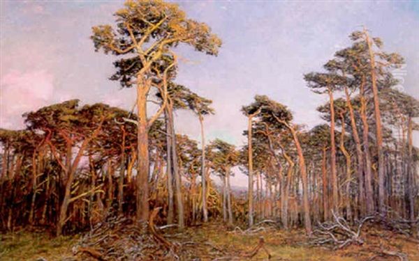 Abendlich Beleuchteter Kiefernwald Oil Painting by Hans Mathias Halten Dall