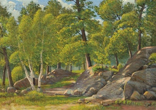 Rocks And Birch Trees In Sunlight Oil Painting by Cyrus Edwin Dallin