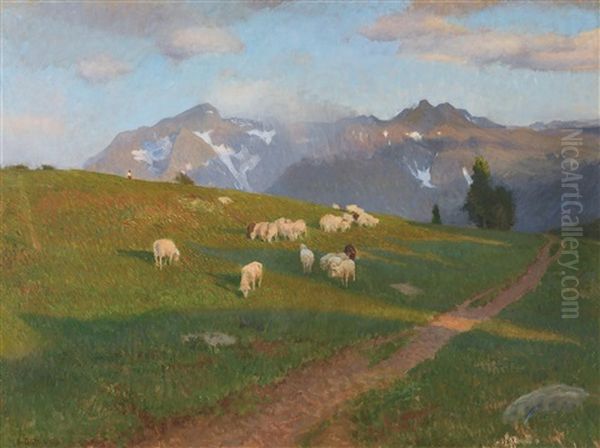 Weidende Schafe Auf Der Alm by Constantin Damianos