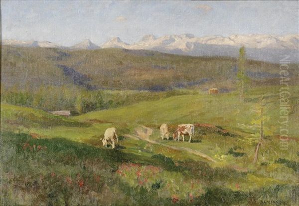 Almlandschaft Mit Weidenden Kuhen Oil Painting by Constantin Damianos