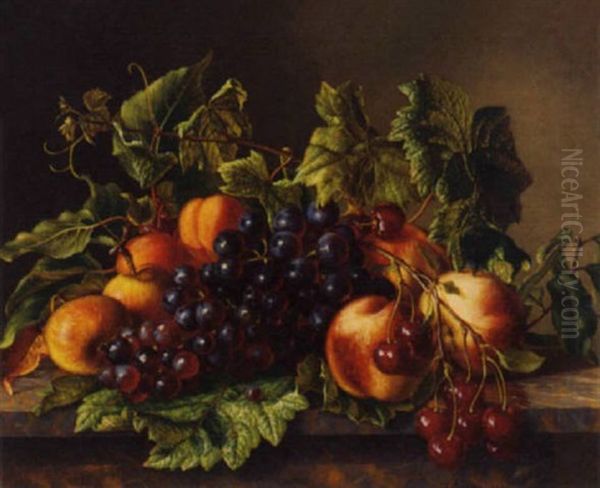 Peaches, Apples, Apricots And Grapes On A Marble Table Oil Painting by Johan Frederik Damm