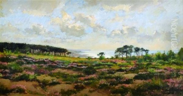 La Lande En Fleurs Pres De La Mer Oil Painting by Pierre Emmanuel Eugene Damoye