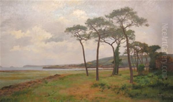 Les Pins, La Cote Bretonne Oil Painting by Pierre Emmanuel Eugene Damoye