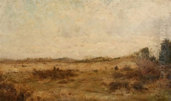 Weite Landschaft Oil Painting by Pierre Emmanuel Eugene Damoye