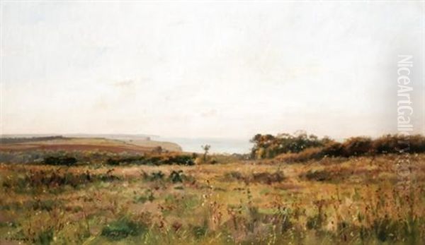 Field In Bloom By The Sea Oil Painting by Pierre Emmanuel Eugene Damoye