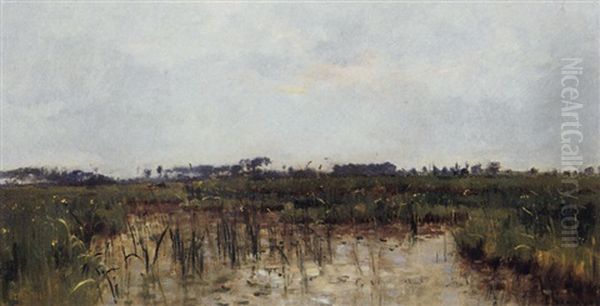 Paysage De Marais Oil Painting by Pierre Emmanuel Eugene Damoye