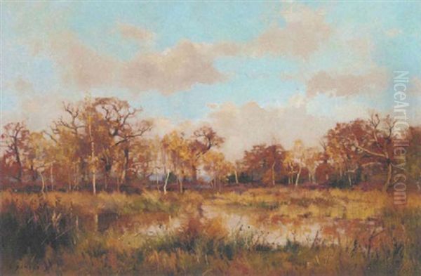 A Lake In An Autumnal Landscape by Pierre Emmanuel Eugene Damoye