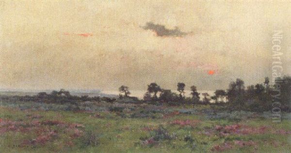 Sunset Over The Meadow Oil Painting by Pierre Emmanuel Eugene Damoye