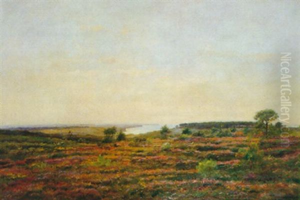 La Lande De Bruyeres Sur La Cote Oil Painting by Pierre Emmanuel Eugene Damoye