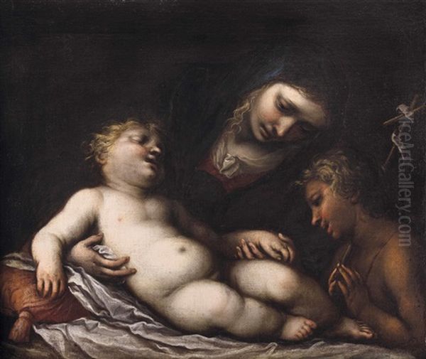 Madonna Mit Schlafendem Jesuskind Und Johannesknaben Oil Painting by Giovanni Stefano Danedi