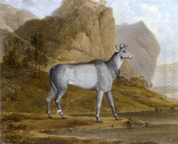 Study Of A Sarow (capricornis Sumantrensis) In A Javanese Landscape Oil Painting by Thomas Daniell