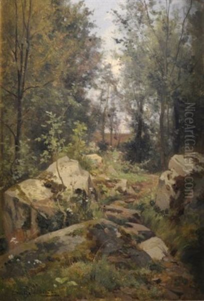 Vue D'un Sous-bois Oil Painting by Louis Emile Dardoize