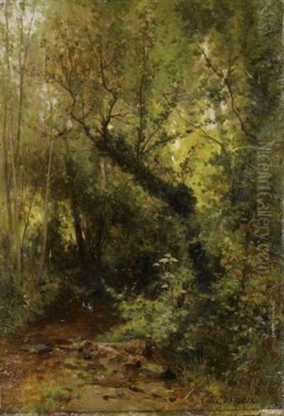 Sous-bois Oil Painting by Louis Emile Dardoize