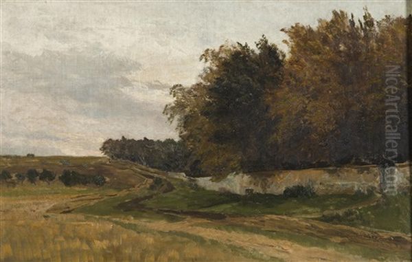 Field Behind The Forest Park Oil Painting by Hugo Darnaut