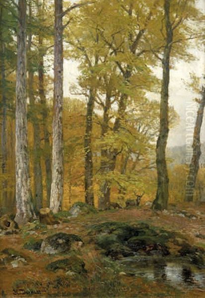 Rotwild Im Herbst Oil Painting by Hugo Darnaut