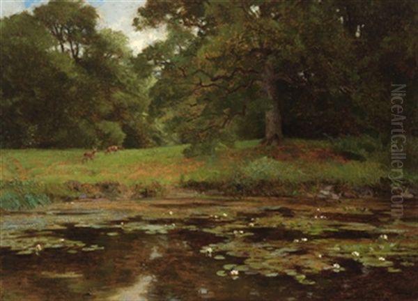 Seerosenteich Mit Rehwild In Der Abenddammerung Oil Painting by Hugo Darnaut