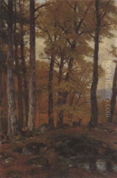 Rotwild Im Herbstwald Oil Painting by Hugo Darnaut