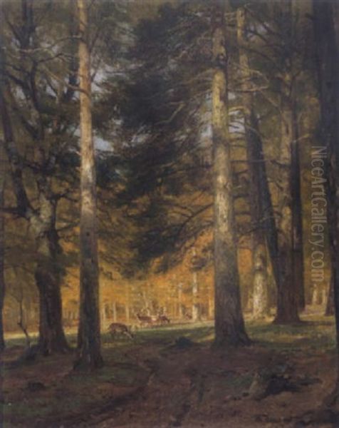 Im Lainzer Tiergarten Oil Painting by Hugo Darnaut