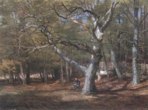 Wienerwald, Alte Buche Bei Merkenstein Oil Painting by Hugo Darnaut