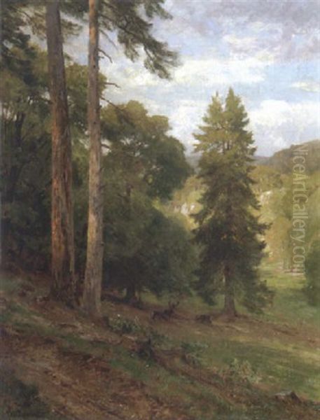 Waldlichting Bei Merkenstein Oil Painting by Hugo Darnaut